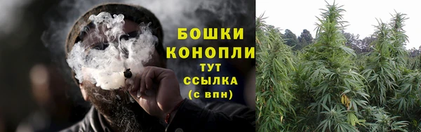 бошки Арсеньев