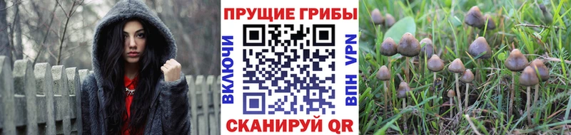 маркетплейс Telegram  МЕГА ссылка  Лахденпохья  Псилоцибиновые грибы мицелий 